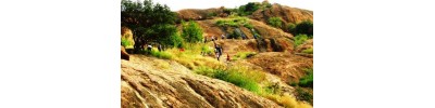 நிலக்கோட்டை
